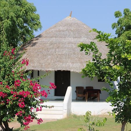 Kutch Safari Lodge ブジ エクステリア 写真